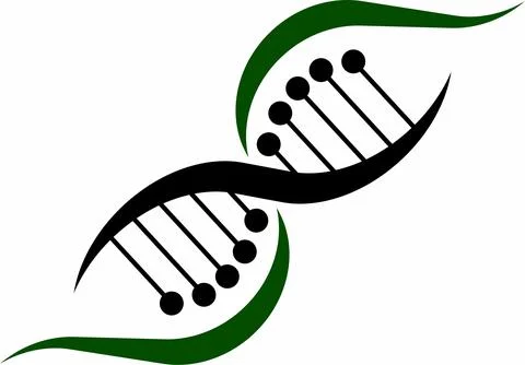 Dna Infinity Logo Stock Illustration