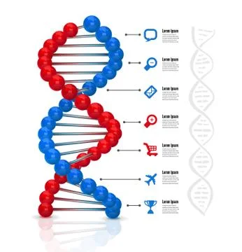 Dna infographics. Vector illustration Stock Illustration