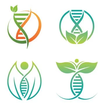 DNA With Leaf Logo Template Stock Illustration