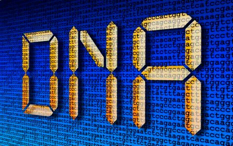 Dna lettering Illustrazione stock