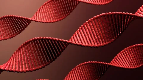 The DNA Loop (1) Video stock 299721781