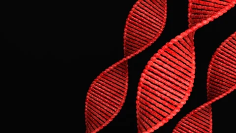 The DNA Loop (2) Video stock 299721779