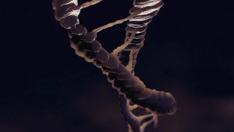 Dna Loop in high detail Stock Footage 234339962