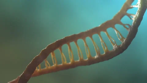 DNA Looped Animation Stock Footage 200565892