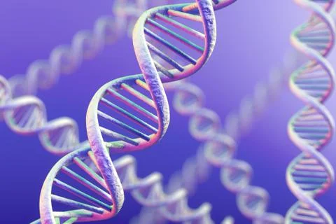 DNA Magnification Stock Illustration