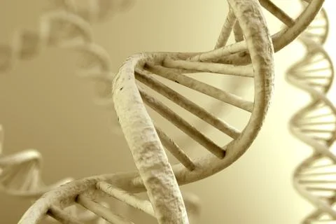 DNA Magnification Stock Illustration
