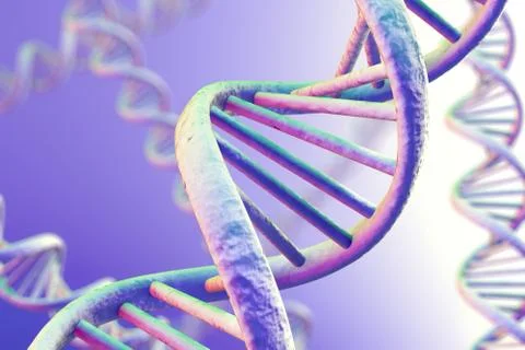 DNA Magnification Illustration
