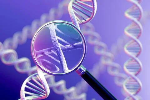 DNA Magnification Illustration