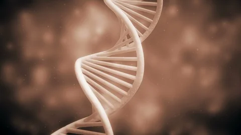DNA medium shot of a Double Helix of Deoxyribonucleic Acid Stock Footage 89007712
