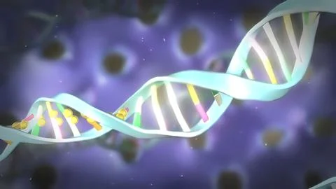 DNA Methylation and Cellular Reprogramming 스톡 일러스트