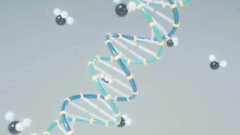Dna methylation epigenetic markers attaching along helix loop Stock Footage 343194625
