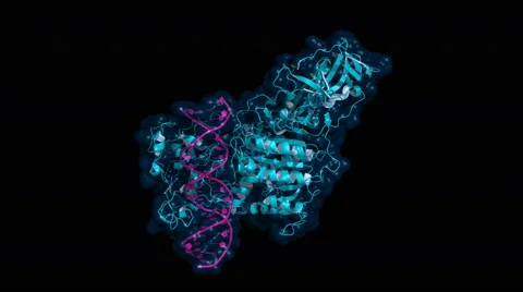 DNA methyltransferase (DNMT3) 스톡 동영상 52848660