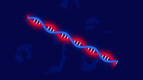 DNA in Microscopic View Stock Footage 335624235