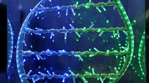 Dna model with blue and green lights illuminating genetic code Stock Footage 304029985