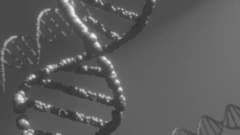 DNA model double helix deoxyribonucleic acid 3d animation 4k Stock Footage 285642899