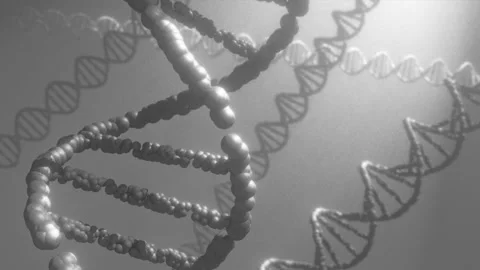 DNA model double helix deoxyribonucleic acid 3d animation 4k Stock Footage 285643102