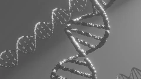 DNA model double helix deoxyribonucleic acid 3d animation 스톡 일러스트
