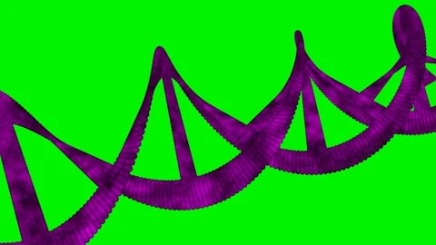 DNA Model in Greenscreen Stock Footage 259833974