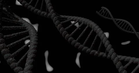DNA model Illustrazione stock
