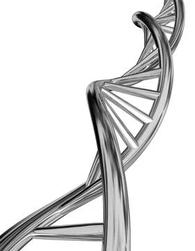 DNA model isolated on white background. DNA model isolated on white backgr... Stock Photos