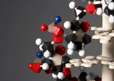 DNA Model Stock Photos