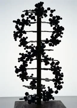 DNA Model Foto stock