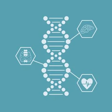 DNA model research testing line icon on blue background 库存插图