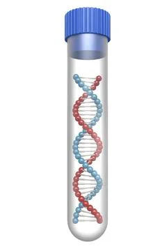 DNA model in the test tube Illustrazione stock