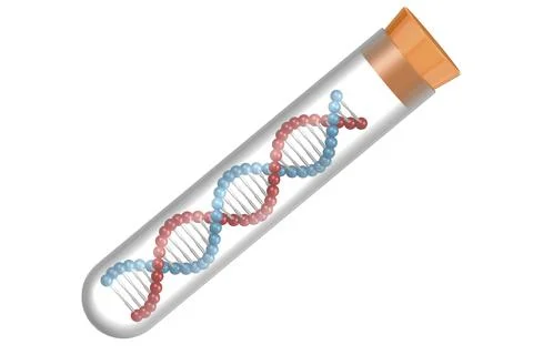 DNA model in the test tube イラスト素材