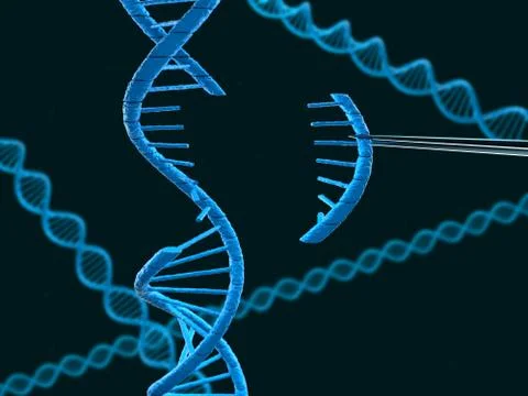 DNA modification Stock Illustration