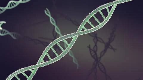 DNA Molecular Structure, double helix strand spinning DNA Ilustración de archivo