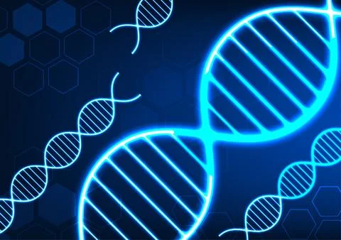 DNA molecular structure technology background shows the connection of the D.. 스톡 일러스트