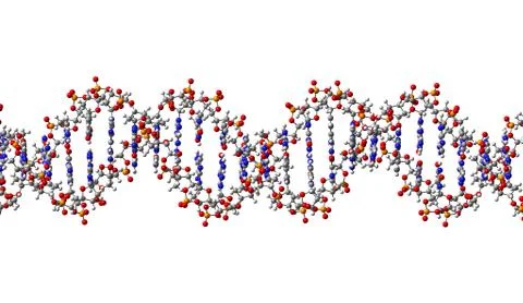 DNA molecule. 3D Illustration Stock Illustration