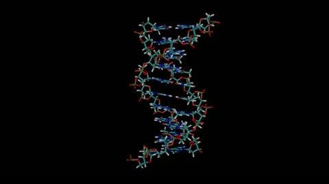 DNA molecule with alpha channel Stock Footage 13016248