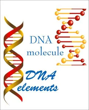 Dna molecule and elements Illustrazione stock