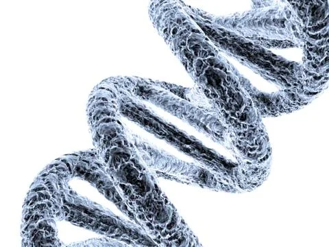 Dna molecule, artwork Stock Illustration