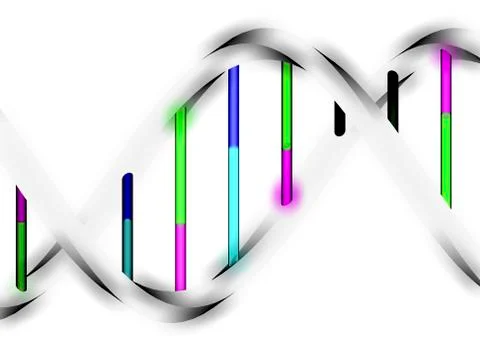 Dna molecule, artwork Stock Illustration