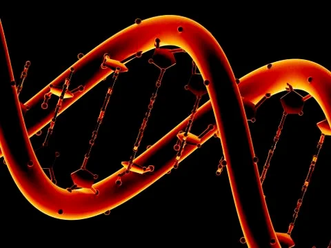 Dna molecule, artwork Stock Illustration