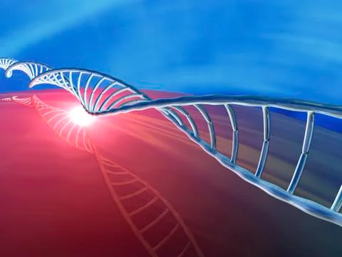 Dna molecule, artwork Stock Illustration