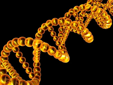 Dna molecule, artwork Stock Illustration
