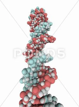 Dna molecule, artwork Stock Illustration