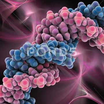 Dna molecule, artwork Stock Illustration