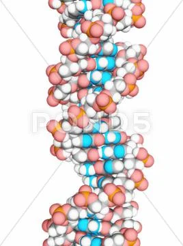 Dna molecule, artwork Stock Illustration