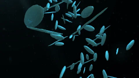 DNA molecule assembled from particles in 3d Video stock 113960692