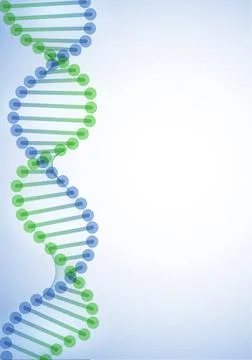 DNA Molecule Background. DNA Molecule Background. Vector Illustration. Eps... Stock Photos