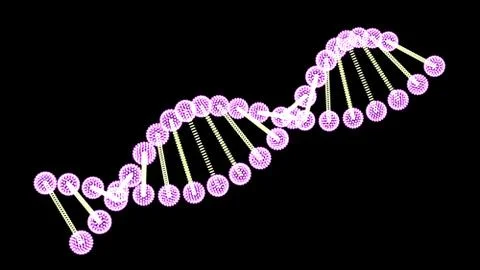 DNA molecule on black background Vector image Ilustración de archivo