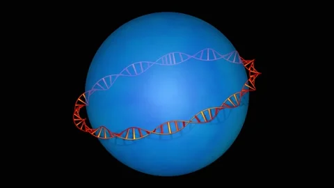 DNA molecule circling around sphere . 3d animation render Stock Footage 155448871