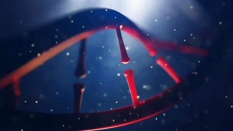 DNA molecule. Closeup of concept human genome. 库存插图