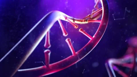 DNA molecule. Closeup of concept human genome. 库存插图