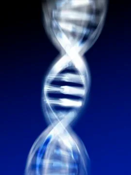 Dna molecule, computer artwork Stock Illustration